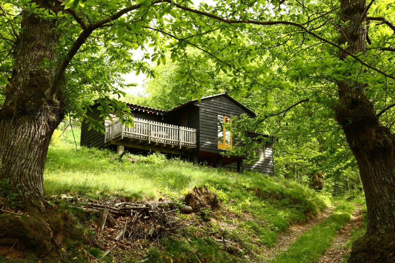 Les Grangeonnes, Gites Nature, Piscine, Bain Nordique, Sauna Pour Accueil Familiale Ou De Groupe Saint-Basile ภายนอก รูปภาพ
